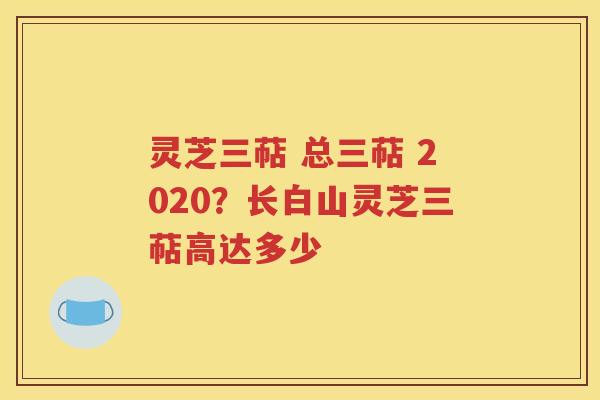 灵芝三萜 总三萜 2020？长白山灵芝三萜高达多少