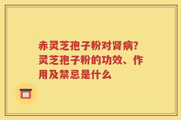 赤灵芝孢子粉对肾病？灵芝孢子粉的功效、作用及禁忌是什么