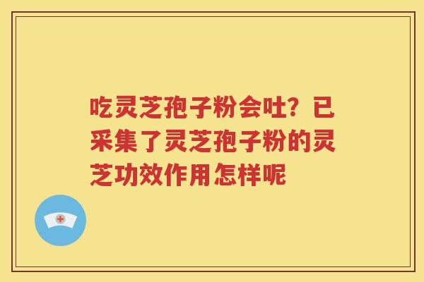 吃灵芝孢子粉会吐？已采集了灵芝孢子粉的灵芝功效作用怎样呢