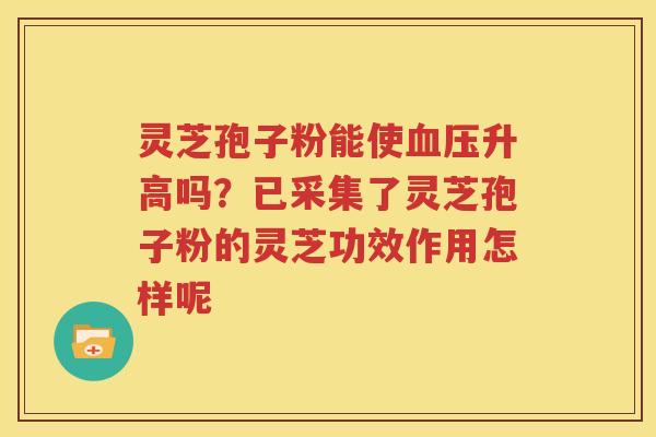 灵芝孢子粉能使血压升高吗？已采集了灵芝孢子粉的灵芝功效作用怎样呢