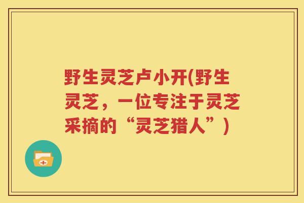 野生灵芝卢小开(野生灵芝，一位专注于灵芝采摘的“灵芝猎人”)