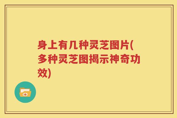 身上有几种灵芝图片(多种灵芝图揭示神奇功效)