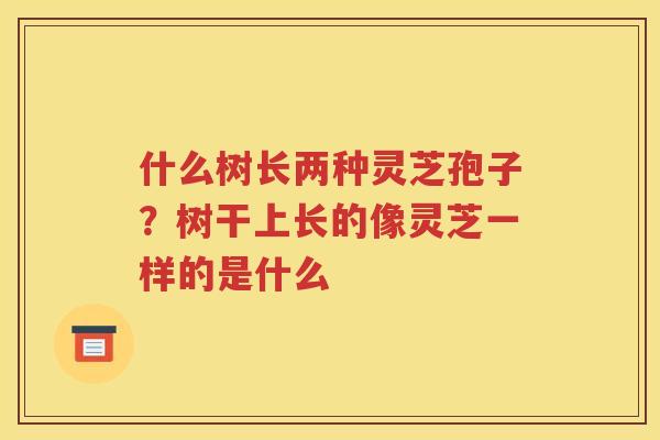 什么树长两种灵芝孢子？树干上长的像灵芝一样的是什么