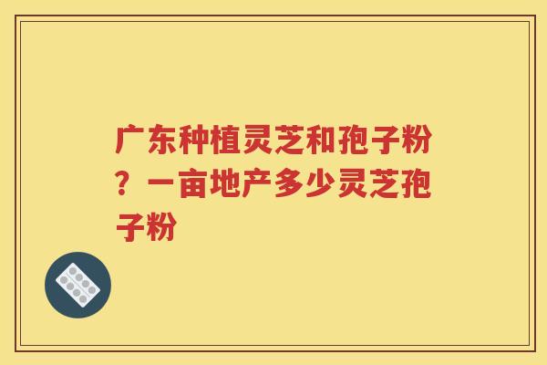 广东种植灵芝和孢子粉？一亩地产多少灵芝孢子粉