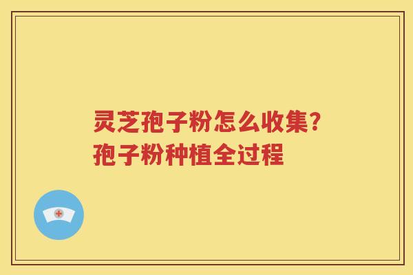 灵芝孢子粉怎么收集？孢子粉种植全过程