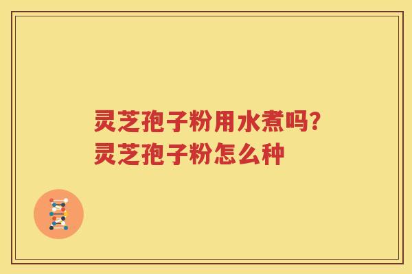 灵芝孢子粉用水煮吗？灵芝孢子粉怎么种