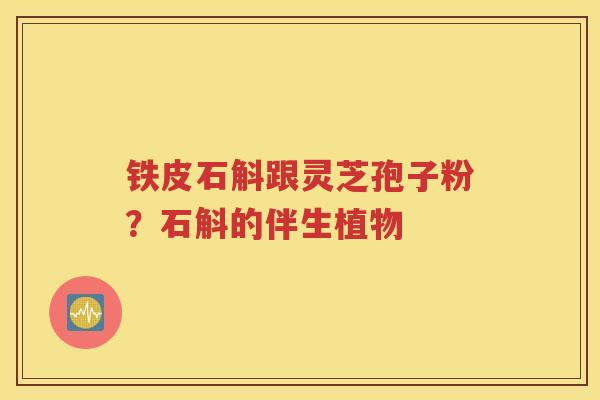 铁皮石斛跟灵芝孢子粉？石斛的伴生植物