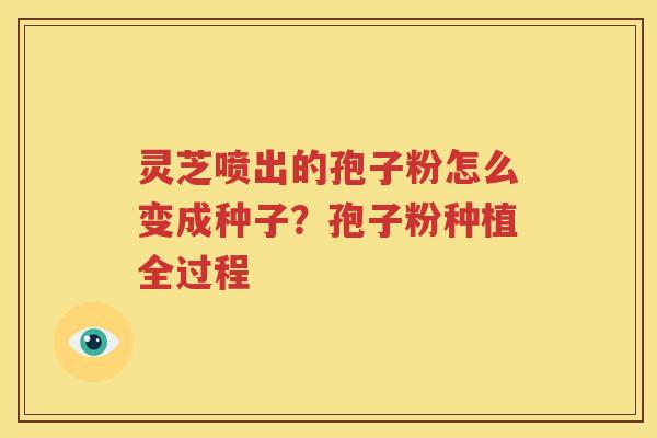 灵芝喷出的孢子粉怎么变成种子？孢子粉种植全过程