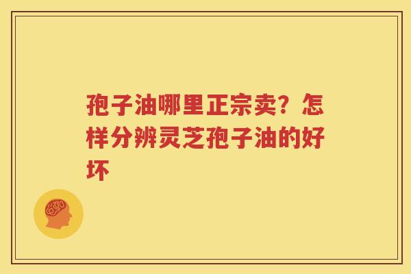 孢子油哪里正宗卖？怎样分辨灵芝孢子油的好坏