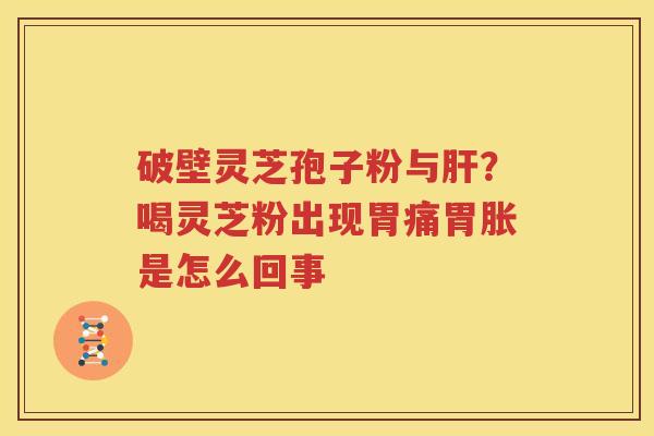 破壁灵芝孢子粉与肝？喝灵芝粉出现胃痛胃胀是怎么回事