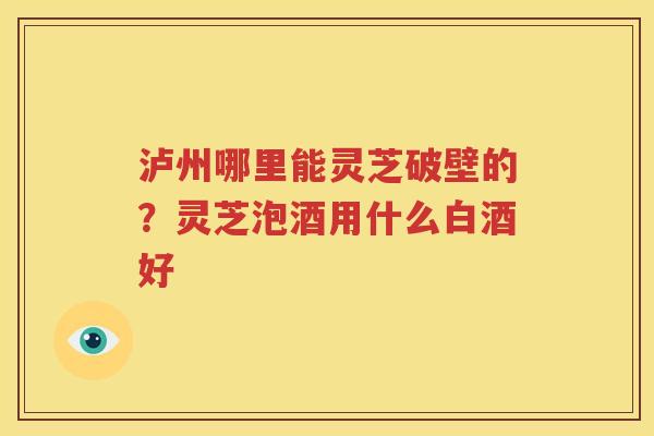 泸州哪里能灵芝破壁的？灵芝泡酒用什么白酒好