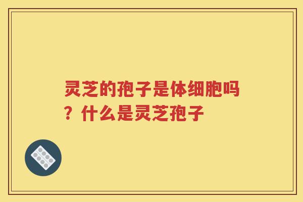 灵芝的孢子是体细胞吗？什么是灵芝孢子