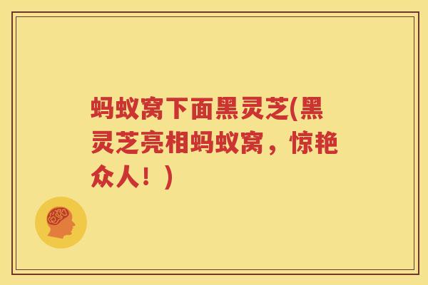 蚂蚁窝下面黑灵芝(黑灵芝亮相蚂蚁窝，惊艳众人！)
