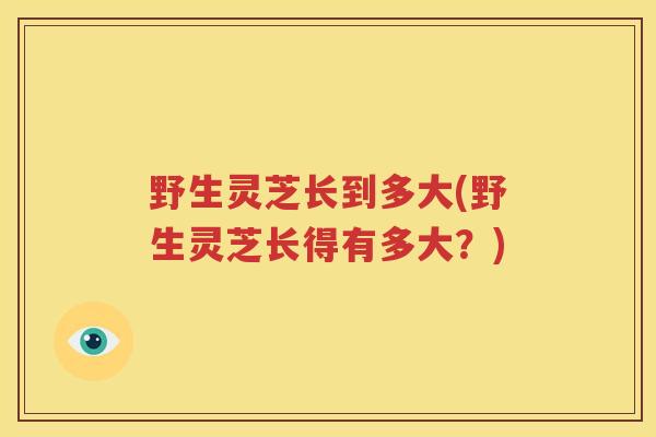 野生灵芝长到多大(野生灵芝长得有多大？)