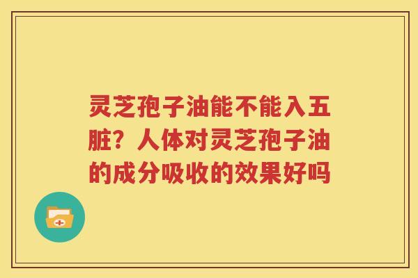 灵芝孢子油能不能入五脏？人体对灵芝孢子油的成分吸收的效果好吗