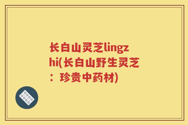 长白山灵芝lingzhi(长白山野生灵芝：珍贵中药材)