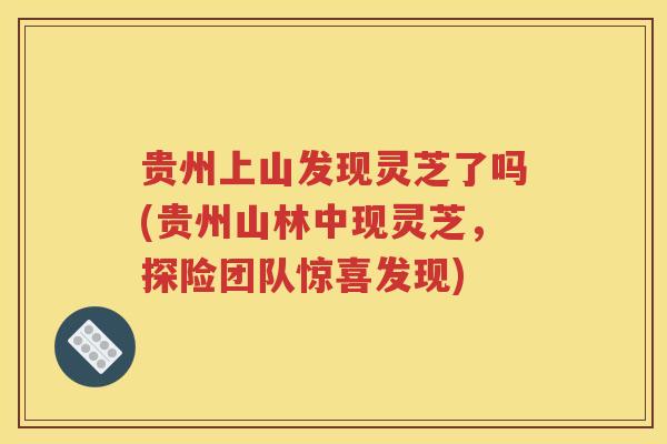 贵州上山发现灵芝了吗(贵州山林中现灵芝，探险团队惊喜发现)