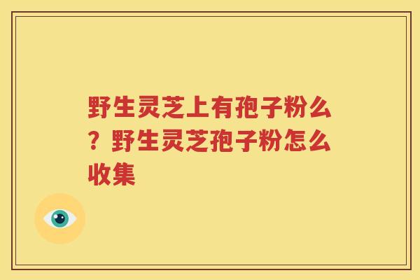 野生灵芝上有孢子粉么？野生灵芝孢子粉怎么收集
