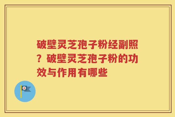 破壁灵芝孢子粉经副照？破壁灵芝孢子粉的功效与作用有哪些