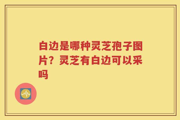 白边是哪种灵芝孢子图片？灵芝有白边可以采吗