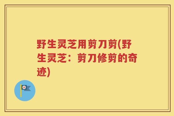 野生灵芝用剪刀剪(野生灵芝：剪刀修剪的奇迹)