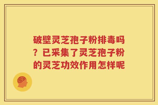 破壁灵芝孢子粉排毒吗？已采集了灵芝孢子粉的灵芝功效作用怎样呢