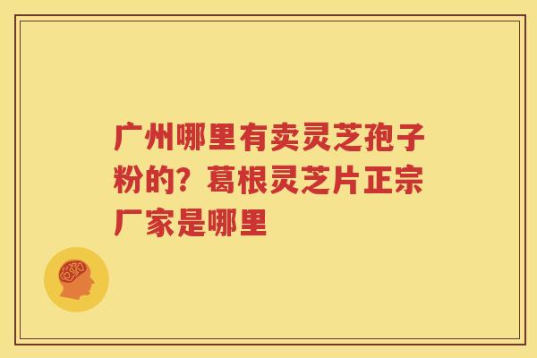 广州哪里有卖灵芝孢子粉的？葛根灵芝片正宗厂家是哪里
