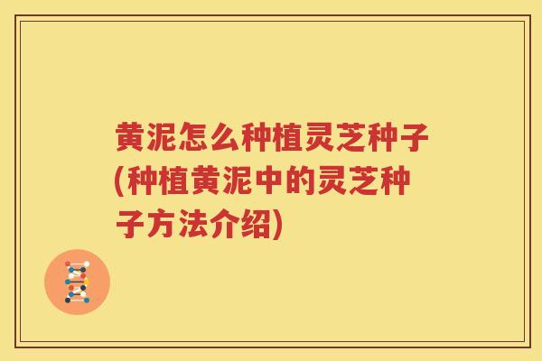 黄泥怎么种植灵芝种子(种植黄泥中的灵芝种子方法介绍)