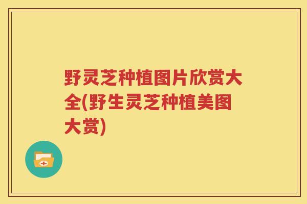 野灵芝种植图片欣赏大全(野生灵芝种植美图大赏)
