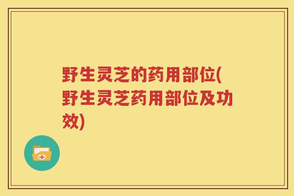 野生灵芝的药用部位(野生灵芝药用部位及功效)