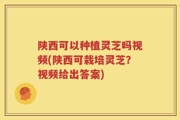 陕西可以种植灵芝吗视频(陕西可栽培灵芝？视频给出答案)