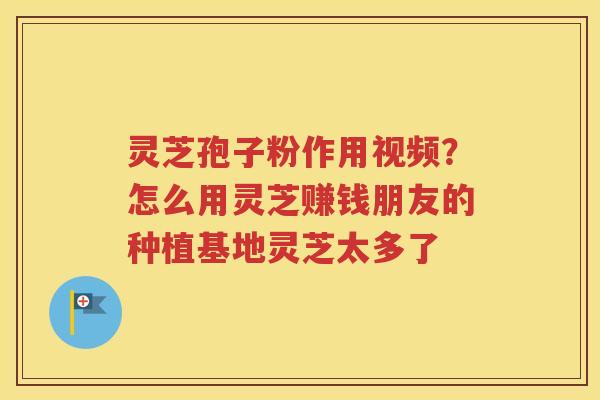 灵芝孢子粉作用视频？怎么用灵芝赚钱朋友的种植基地灵芝太多了