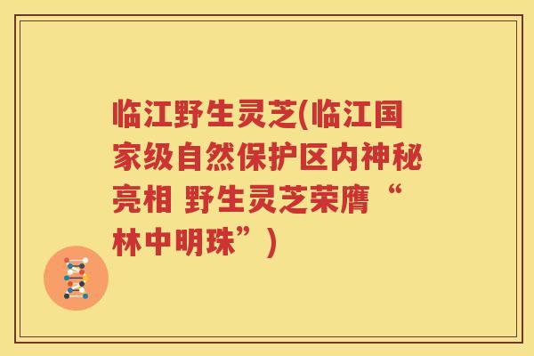 临江野生灵芝(临江国家级自然保护区内神秘亮相 野生灵芝荣膺“林中明珠”)