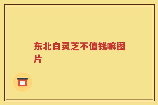 东北白灵芝不值钱嘛图片