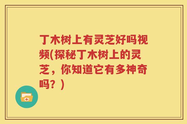 丁木树上有灵芝好吗视频(探秘丁木树上的灵芝，你知道它有多神奇吗？)