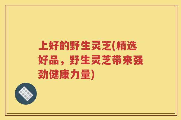 上好的野生灵芝(精选好品，野生灵芝带来强劲健康力量)