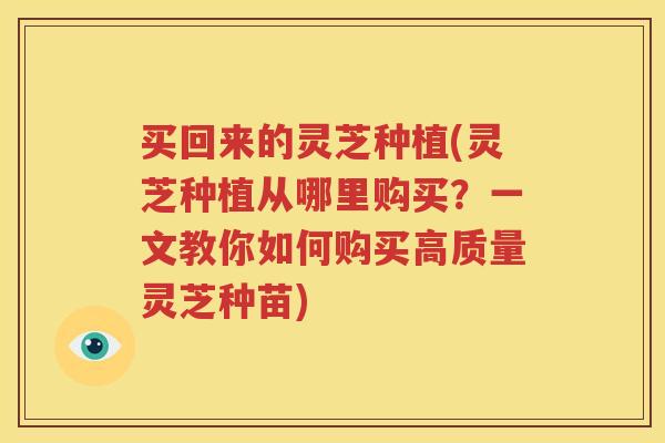 买回来的灵芝种植(灵芝种植从哪里购买？一文教你如何购买高质量灵芝种苗)