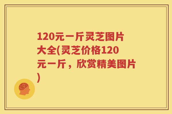 120元一斤灵芝图片大全(灵芝价格120元一斤，欣赏精美图片)