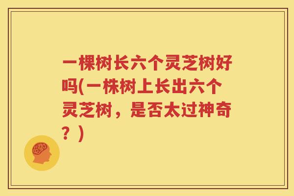 一棵树长六个灵芝树好吗(一株树上长出六个灵芝树，是否太过神奇？)