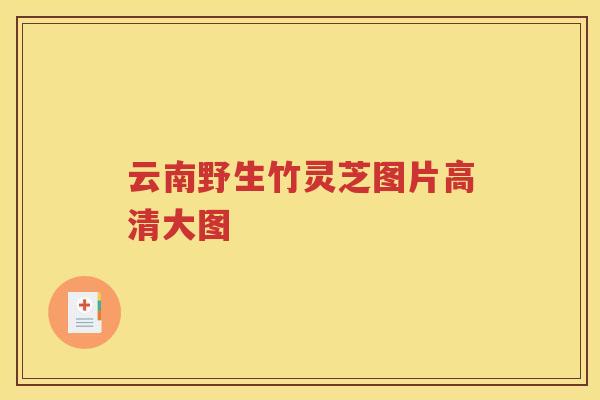 云南野生竹灵芝图片高清大图