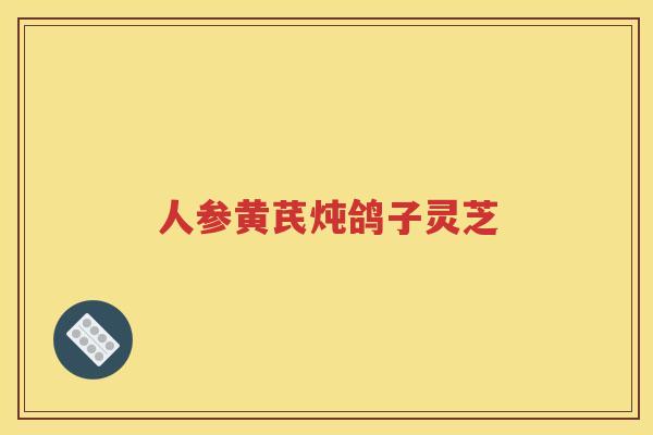 人参黄芪炖鸽子灵芝