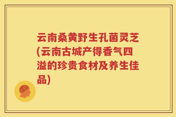 云南桑黄野生孔菌灵芝(云南古城产得香气四溢的珍贵食材及养生佳品)