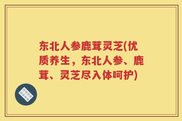 东北人参鹿茸灵芝(优质养生，东北人参、鹿茸、灵芝尽入体呵护)