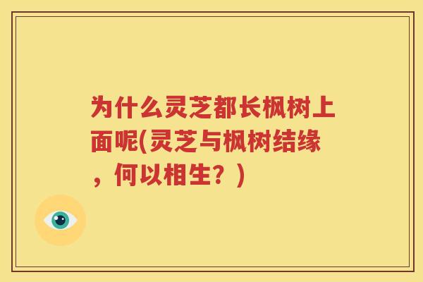 为什么灵芝都长枫树上面呢(灵芝与枫树结缘，何以相生？)
