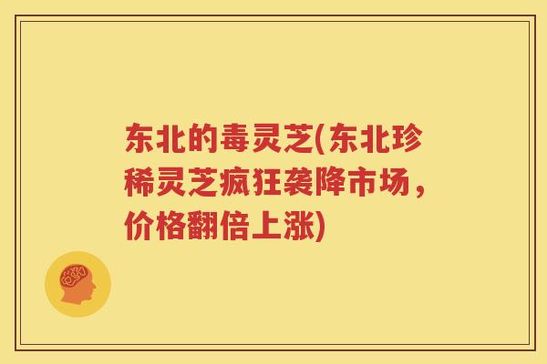 东北的毒灵芝(东北珍稀灵芝疯狂袭降市场，价格翻倍上涨)