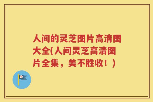 人间的灵芝图片高清图大全(人间灵芝高清图片全集，美不胜收！)