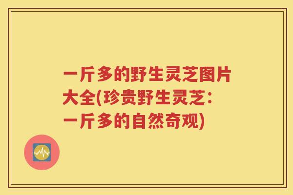 一斤多的野生灵芝图片大全(珍贵野生灵芝：一斤多的自然奇观)