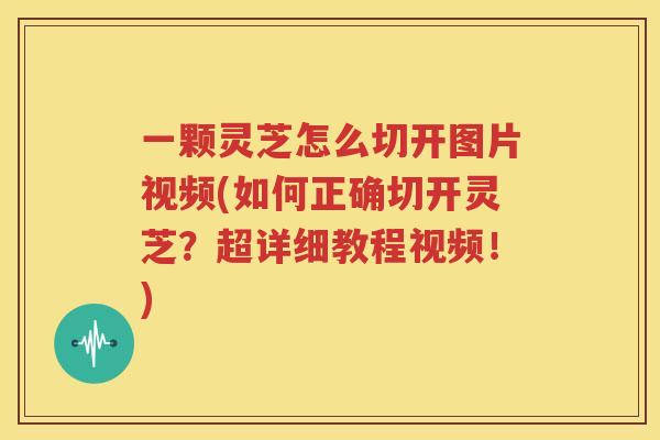 一颗灵芝怎么切开图片视频(如何正确切开灵芝？超详细教程视频！)