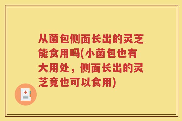 从菌包侧面长出的灵芝能食用吗(小菌包也有大用处，侧面长出的灵芝竟也可以食用)