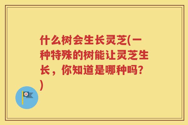 什么树会生长灵芝(一种特殊的树能让灵芝生长，你知道是哪种吗？)